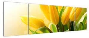 Obraz - Żółte tulipany (170x50 cm)