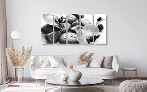 5-częściowy obraz piękna gra kamieni i orchidei w czarnobiałym kolorze
