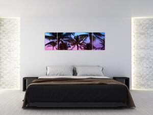 Obraz - Palmy w Miami (170x50 cm)