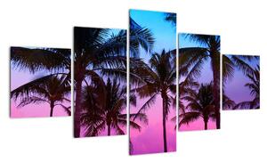 Obraz - Palmy w Miami (125x70 cm)