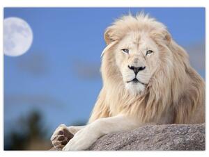 Obraz - Biały lew (70x50 cm)