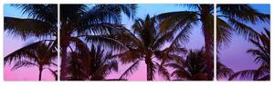 Obraz - Palmy w Miami (170x50 cm)