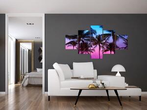 Obraz - Palmy w Miami (125x70 cm)