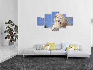 Obraz - Biały lew (125x70 cm)