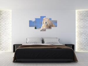Obraz - Biały lew (125x70 cm)