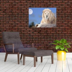 Obraz - Biały lew (70x50 cm)