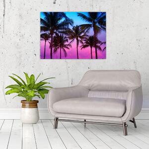 Obraz - Palmy w Miami (70x50 cm)