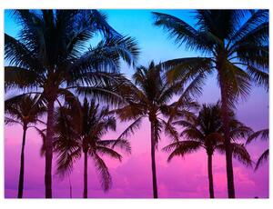 Obraz - Palmy w Miami (70x50 cm)