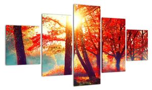 Obraz- Jesienny krajobraz (125x70 cm)