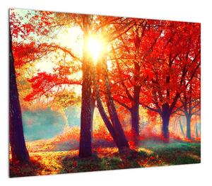 Obraz- Jesienny krajobraz (70x50 cm)