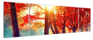 Obraz- Jesienny krajobraz (170x50 cm)
