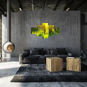 Obraz - Wiosenne przebudzenie lasu (125x70 cm)