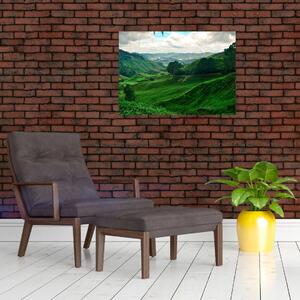 Obraz na szkle - Plantacje herbaty w Malezji (70x50 cm)