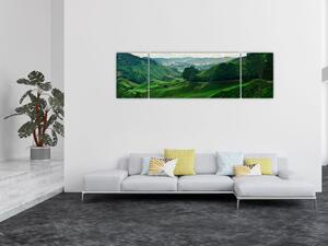 Obraz - Plantacje herbaty w Malezji (170x50 cm)
