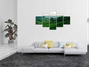 Obraz - Plantacje herbaty w Malezji (125x70 cm)