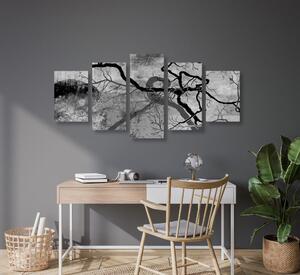 5-częściowy obraz surrealistyczne drzewa w czarnobiałym kolorze