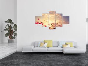 Obraz - Łąka z kwiatami (125x70 cm)