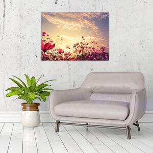 Obraz - Łąka z kwiatami (70x50 cm)