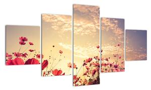 Obraz - Łąka z kwiatami (125x70 cm)