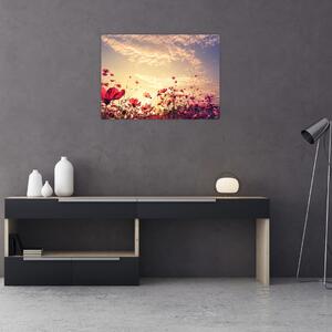 Obraz - Łąka z kwiatami (70x50 cm)