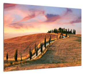 Obraz - Dom na wzgórzu, Toskania, Włochy (70x50 cm)