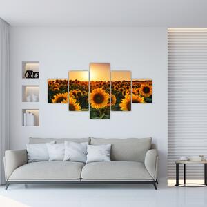 Obraz - Słonecznik (125x70 cm)