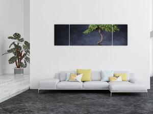 Obraz - Bonsai (170x50 cm)