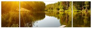 Obraz - Jezioro w pobliżu lasu (170x50 cm)