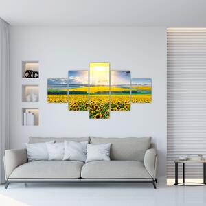 Obraz - Pole słoneczników (125x70 cm)
