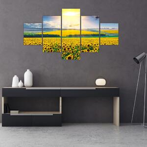 Obraz - Pole słoneczników (125x70 cm)
