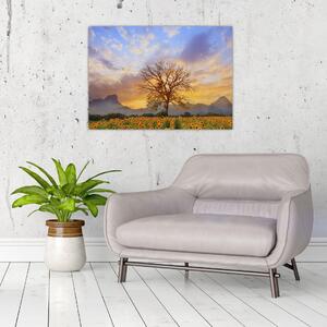 Obraz - Pejzaż ze słonecznikami (70x50 cm)