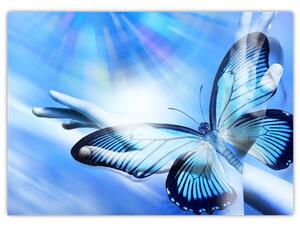 Obraz - Motyl, symbol nadziei (70x50 cm)