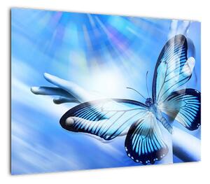 Obraz - Motyl, symbol nadziei (70x50 cm)