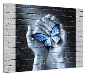 Obraz - Motyl na ścianie (70x50 cm)