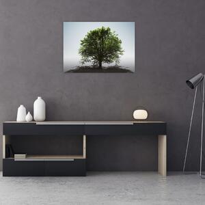 Obraz - Samotne drzewo (70x50 cm)