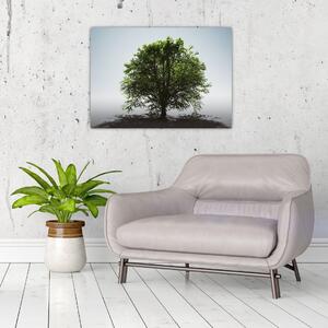Obraz - Samotne drzewo (70x50 cm)