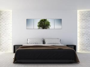 Obraz - Samotne drzewo (170x50 cm)