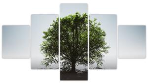 Obraz - Samotne drzewo (125x70 cm)