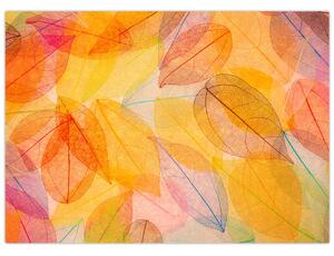 Obraz - Tło z jesiennych liści (70x50 cm)