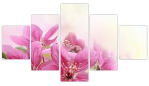 Obraz - Różowe kwiaty (125x70 cm)