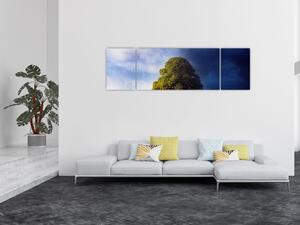 Obraz - Dzień i noc (170x50 cm)