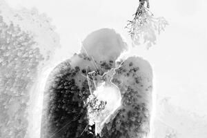 Obraz zakochanej pary pod jemiołą w czerni i bieli