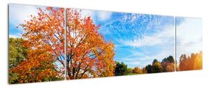 Obraz - Jesienny krajobraz (170x50 cm)