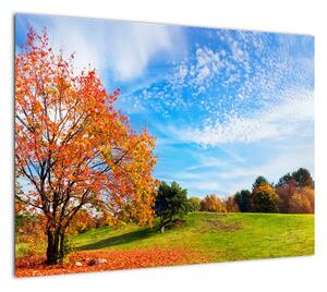 Obraz - Jesienny krajobraz (70x50 cm)