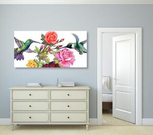 Obraz kolibry z kwiatami
