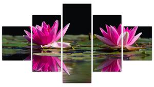 Obraz lilii wodnych na wodzie (125x70 cm)