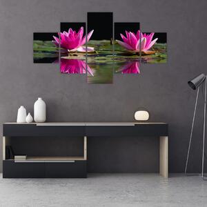 Obraz lilii wodnych na wodzie (125x70 cm)