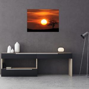 Obraz - Zachód słońca (70x50 cm)