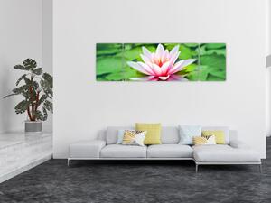Obraz lilii wodnej na powierzchni (170x50 cm)