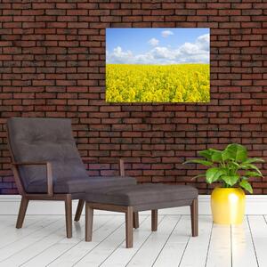 Obraz żółtego pola (70x50 cm)